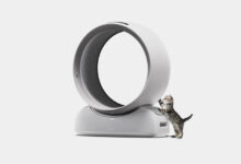 Design inovador transforma secador em refúgio para pets