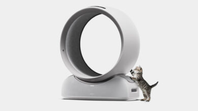 Design inovador transforma secador em refúgio para pets