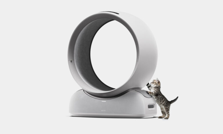 Design inovador transforma secador em refúgio para pets