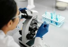 DNA é modelo de machine learning: entenda como funciona