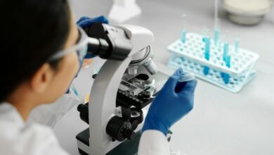 DNA é modelo de machine learning: entenda como funciona