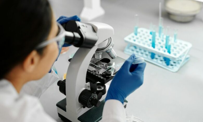 DNA é modelo de machine learning: entenda como funciona