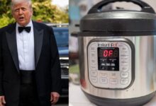 Donald Trump pode lançar novo gadget instantâneo