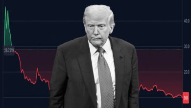 Crypto de Trump impacta finanças de seguidores do MAGA
