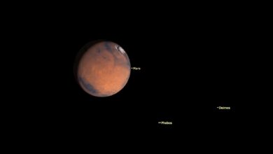 NASA observa Marte perto da Lua e estrela brilhante em junho
