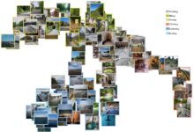 Redes neurais aprimoram navegação em ambientes complexos