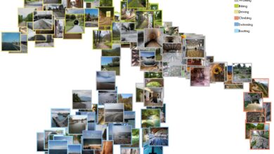 Redes neurais aprimoram navegação em ambientes complexos