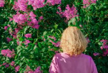 AI não entende flores como os humanos: uma reflexão cultural