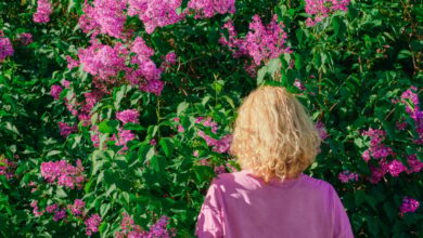 AI não entende flores como os humanos: uma reflexão cultural