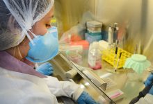 USP avança em pesquisa de vacina contra zika em camundongos