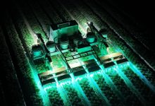 TRIC Robotics reduz uso de pesticidas em morangos com UV
