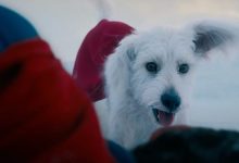 Superman promove concurso de cães parecidos com Krypto