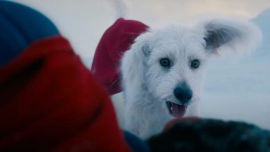 Superman promove concurso de cães parecidos com Krypto
