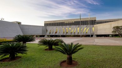 STF avalia recurso sobre filhas retiradas de mãe no Brasil