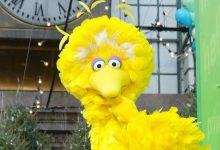Trump processa para demitir executivo do Sesame Street