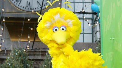Trump processa para demitir executivo do Sesame Street