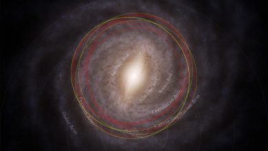 Top view of the Milky Way showing the estimated orbits of both our Sun and 3I/ATLAS. The comet is shown in red dashed lines, and the Sun is shown in yellow dotted lines. The large extent of the comet’s orbit into the outer thick disk is clear, while the Sun stays nearer the core of the Galaxy. Image credit: M. Hopkins / Ōtautahi-Oxford Team / ESA / Gaia / DPAC / Stefan Payne-Wardenaar / CC-BY-SA 4.0.