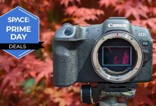Canon oferece descontos em modelos R8, R5 II e R6 II na órbita da tecnologia