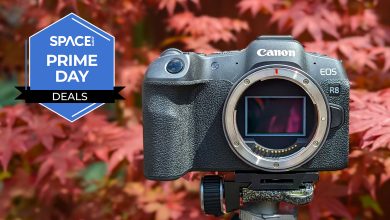 Canon oferece descontos em modelos R8, R5 II e R6 II na órbita da tecnologia