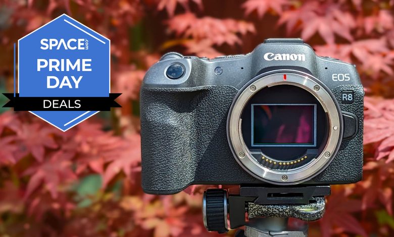 Canon oferece descontos em modelos R8, R5 II e R6 II na órbita da tecnologia