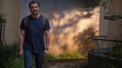 Pedro Pascal enfrenta backlash inesperado na cultura geek