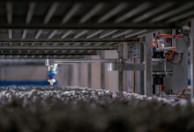 4AG Robotics lança robôs para colheita de cogumelos