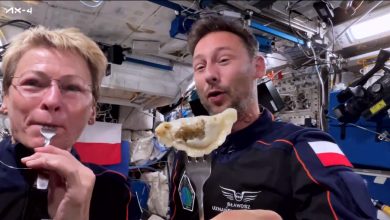 Astronautas da NASA na ISS realizam experimentos e novas descobertas