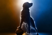 Air Bud 15 chega e promete agitar a cultura geek