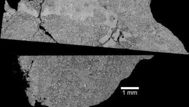 NASA encontra rocha lunar de 2 bilhões de anos na África