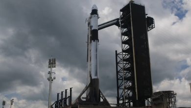 SpaceX e NASA suspendem lançamento da missão Crew-11