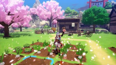 Rune Factory: Guardians Of Azuma ensina como farmar gold