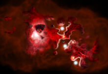 This artist’s impression of the formation of a galaxy in the early Universe featuring clumps of star-forming galaxies, with carbon gas shown in red, and dark dust shown in black. This process is documented in detail throughout the many galaxies observed in ALMA’s CRISTAL survey. Image credit: NSF / AUI / NRAO / B. Saxton.