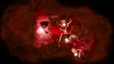 This artist’s impression of the formation of a galaxy in the early Universe featuring clumps of star-forming galaxies, with carbon gas shown in red, and dark dust shown in black. This process is documented in detail throughout the many galaxies observed in ALMA’s CRISTAL survey. Image credit: NSF / AUI / NRAO / B. Saxton.