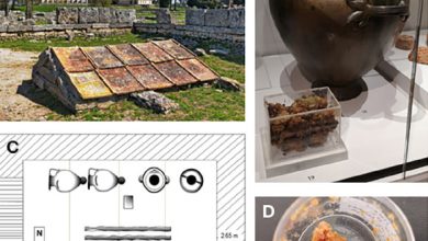 Paestum honey: (A) underground shrine in Paestum, Italy; (B) one of the hydrias on display alongside a Perspex box containing the residue at the Ashmolean Museum in 2019; (C) graphic representation of the arrangement of the bronze jars inside the shrine; (D) sample from the core of the residue. Image credit: da Costa Carvalho et al., doi: 10.1021/jacs.5c04888.