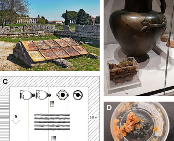 Paestum honey: (A) underground shrine in Paestum, Italy; (B) one of the hydrias on display alongside a Perspex box containing the residue at the Ashmolean Museum in 2019; (C) graphic representation of the arrangement of the bronze jars inside the shrine; (D) sample from the core of the residue. Image credit: da Costa Carvalho et al., doi: 10.1021/jacs.5c04888.