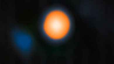 Astronomers Directly Image Betelgeuse’s Stellar Companion