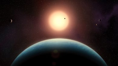Astronomers Confirm Fifth Exoplanet in L 98-59 System