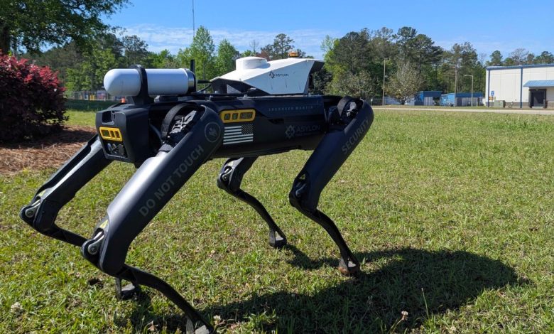 Asylon capta US$ 26M em rodada de Series B com robôs cães