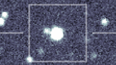 NASA descobre estrela explosiva rara com ajuda de cientistas cidadãos