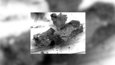 NASA descobre mineral surpreendente na missão ao asteroide Ryugu