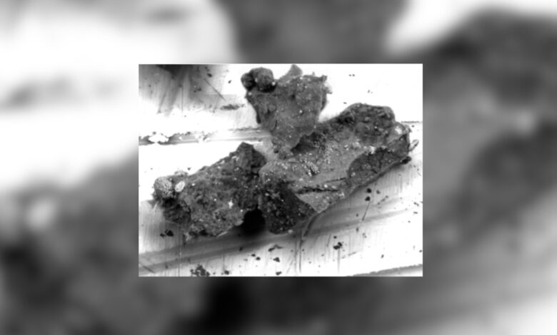 NASA descobre mineral surpreendente na missão ao asteroide Ryugu