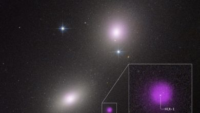 X-ray and infrared images of NGC 6099 HLX-1. Image credit: NASA / CXC / Inst. of Astronomy, Taiwan / Y-C Chang / ESA / STScI / HST / J. DePasquale.