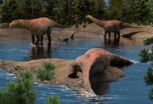 95-Million-Year-Old Plant-Eating Dinosaur Discovered in Argentina