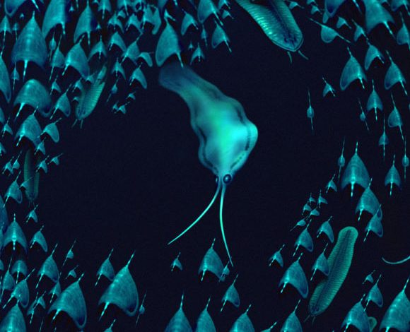 Life reconstruction of Nektognathus evasmithae. Image credit: Bob Nicholls.