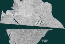 Backscattered electron image of the NWA 16286 sample. Image credit: Joshua Snape / University of Manchester.
