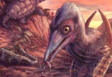 Unusual Bonebed in Arizona Reveals North America’s Earliest-Known Pterosaur