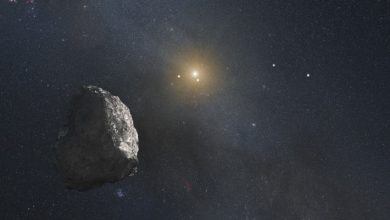Newly-Discovered Trans-Neptunian Object is Moving in Rhythm with Neptune, Astronomers Say