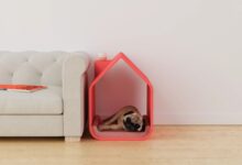 Design moderno une conforto e funcionalidade em casa para cães