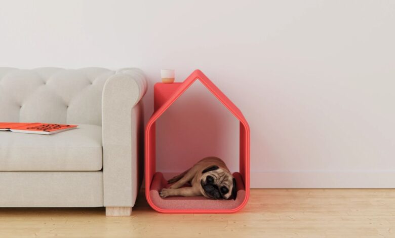 Design moderno une conforto e funcionalidade em casa para cães