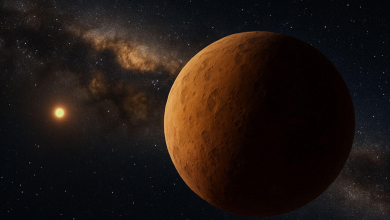 Astrônomos descobrem fóssil cósmico na borda do sistema solar